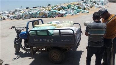 توريد 601741 طنًا من الأقماح إلى مواقع التخزين بالشرقية 