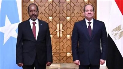 الرئيس الصومالي يؤكد التزام بلاده بتعزيز التعاون مع مصر في شتى المجالات