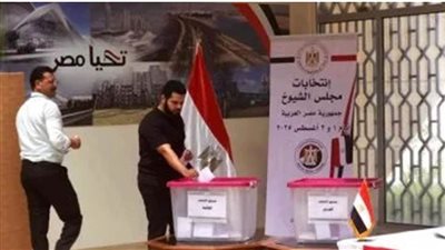 سفيرة مصر لدى البرازيل: مشاركة إيجابية تعكس روح الانتماء الوطني في انتخابات مجلس الشيوخ بمقر البعثة