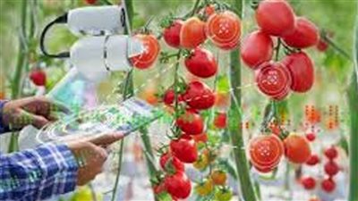 الطاقة الذرية: استخدام تقنيات معالجة الأغذية بالإشعاع لتعزيز الأمن الغذائي 