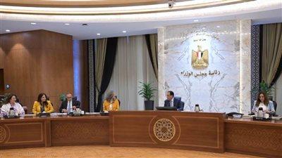 رئيس الوزراء يلتقي المديرة التنفيذية لبرنامج الأمم المتحدة للمستوطنات البشرية والوفد المرافق لها