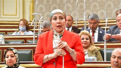 هالة أبوالسعد: الحوار الوطني السبيل الأمثل لضمان حياة كريمة تليق بالمواطن المصري