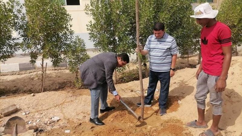 حملة تشجير تربية