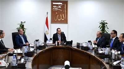 رئيس الوزراء يجتمع مع رئيسي الرقابة المالية والبورصة