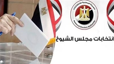 انتهاء تصويت المصريين في الأردن بجولة الإعادة لانتخابات مجلس الشيوخ 2025