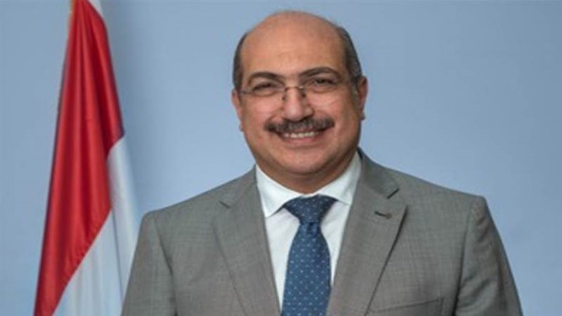 النائب الدكتور إيهاب