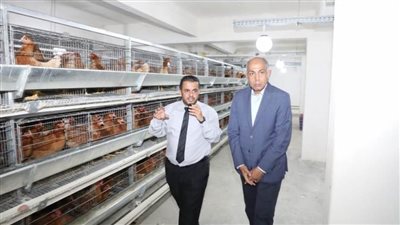 المنيا.. تحرير 125محضراً خلال حملات على المخابز والأسواق