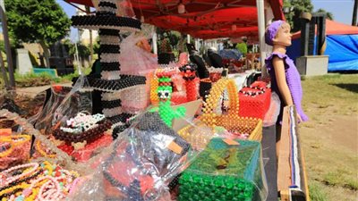 مؤسسة الفتيات بالعجوزة تشارك في معرض الزهور بالقاهرة