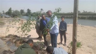 زراعة 107 شتلات بمركزي مطاي وسمالوط ضمن المبادرة الرئاسية 100 مليون شجرة