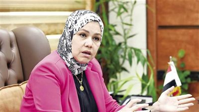 رشا عبد العال: وزارة المالية ومصلحة الضرائب يوليان الاهتمام لدعم المستثمرين وحل أي مشكلات تواجههم