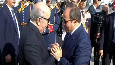 عاجل..الرئيس السيسي يستقبل نظيره الجزائري بمطار القاهرة الدولي