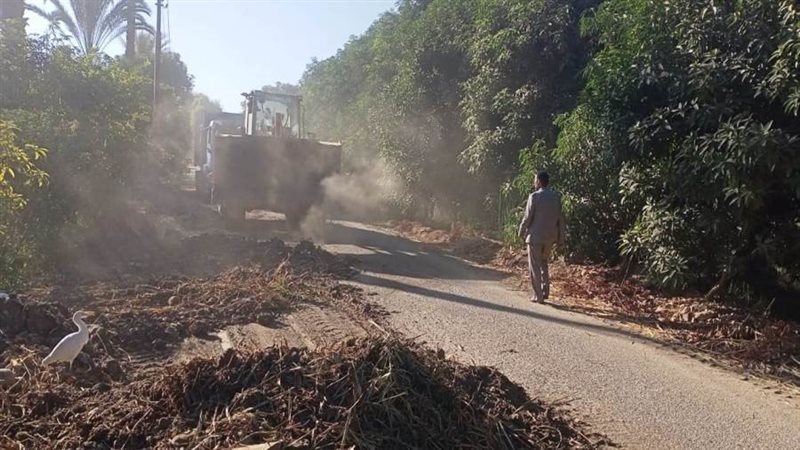 جانب من الحملة