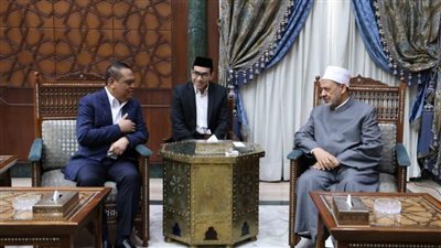 شيخ الأزهر: السلام أصبح حلما بعيد المنال بسبب ما نراه من مجازر وإبادات جماعية يوميا