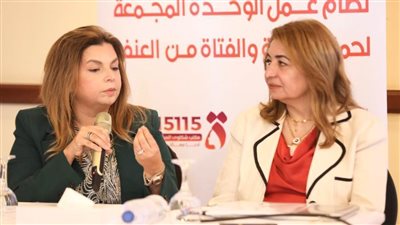 «قومي المرأة» يعقد ورشة العمل الأولي لإنشاء الوحدة المجمعة للحماية من العنف