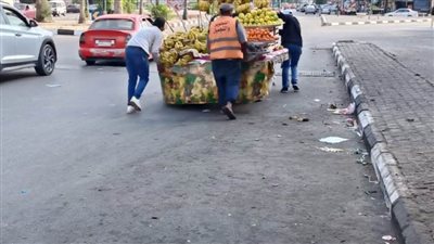 رفع ٢٣٠ حالة إشغال طريق وتحرير ١١٧ مخالفة خلال أسبوع بالإسماعيلية