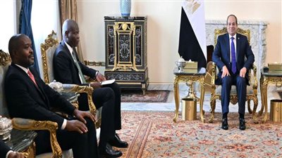 الرئيس السيسي يستقبل وزير العلاقات الدولية والتعاون الدولي بجنوب أفريقيا 