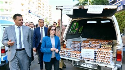 بسعر 145 جنيهًا للكرتونة.. محافظ البحيرة تطلق أكبر قافلة لتوفير بيض المائدة