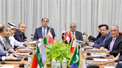 اجتماع المندوبين الطارئ لبحث التهديدات الإسرائيلية ضد العراق 