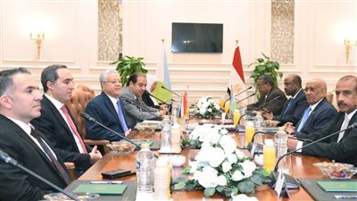 المستشار الدكتور حنفي جبالي يلتقي برئيس الجمعية الوطنية في جيبوتي