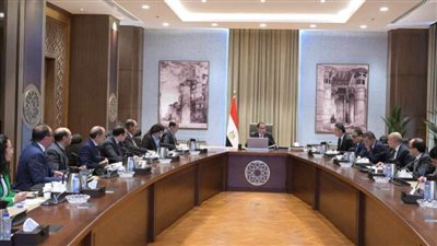 لتوفير مخزون استراتيجي.. رئيس الوزراء يتابع موقف تدبير الأقماح