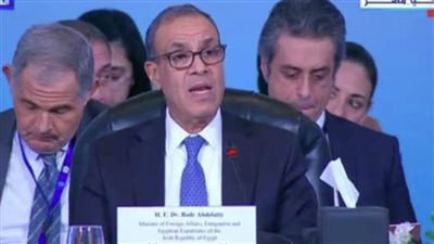 وزير الخارجية: المشاركون في 