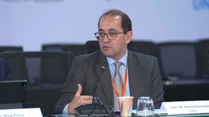 وزير المالية