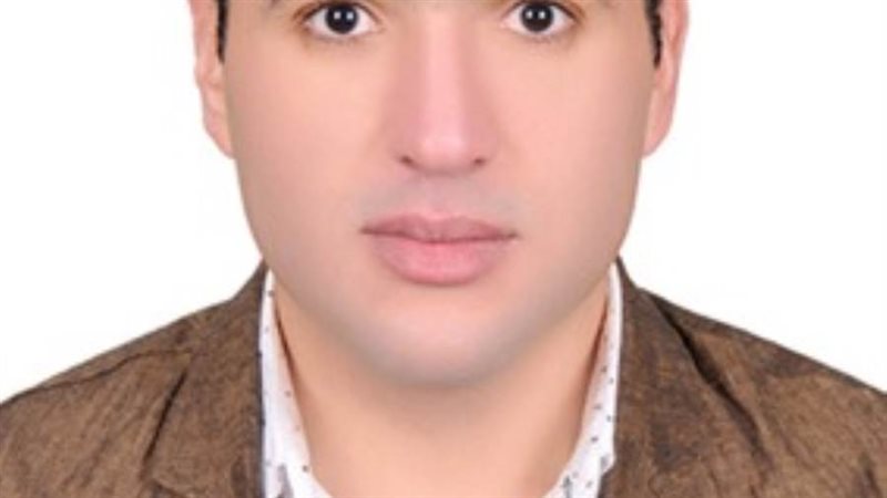 الدكتور محمد السيد