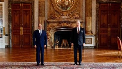 عاجل| الرئيس السيسي يوجه الدعوة لملك النرويج لزيارة مصر للمشاركة بحفل افتتاح المتحف المصري الكبير