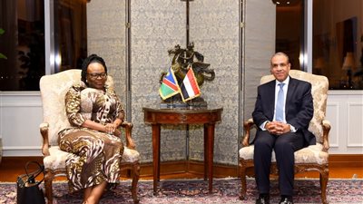 وزيرا خارجية مصر وناميبيا يبحثان تعزيز التعاون الثنائي