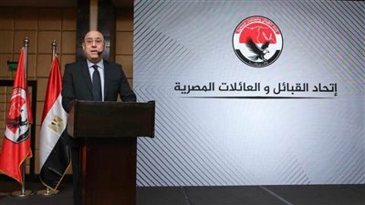 عاصم الجزار: أملنا بكيان كبير كحائط صد ضد كل محاولات المساس بمصرنا