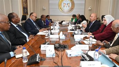 إطلاق مشروعات استراتيجية مشتركة في قطاعي النقل والصناعة بين مصر وتنزانيا