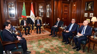 وزير الخارجية يؤكد أهمية زيادة الاستثمارات المصرية في جزر القمر