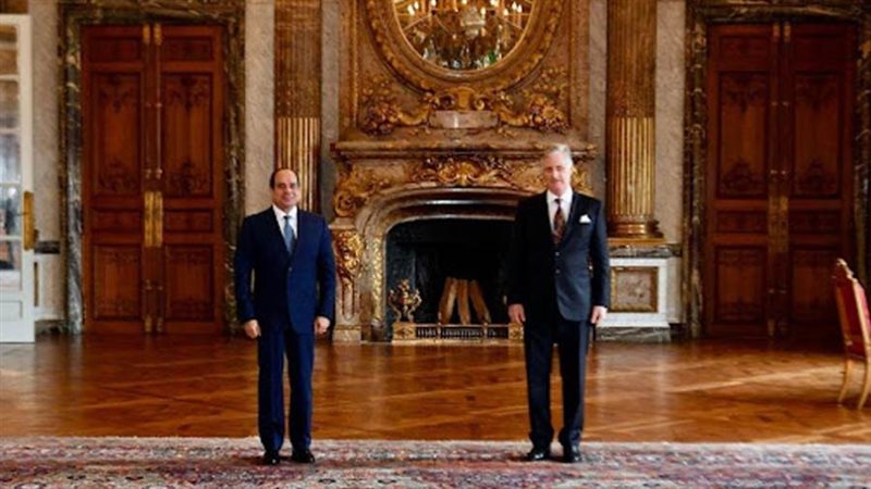 لقاء الرئيس عبد الفتاح