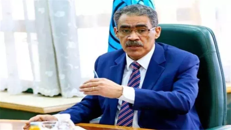 ضياء رشوان رئيس الهيئة