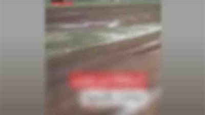 حقيقة قيام أحد رجال الشرطة بالبحيرة بتبوير قطعة أرض زراعية منزرعة بمحصول القمح