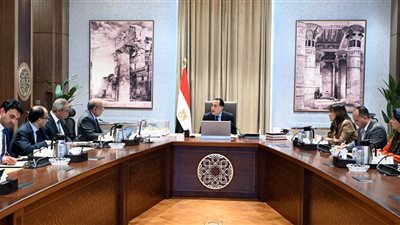 رئيس الوزراء يتابع الموقف التنفيذي لمشروعات الطاقة المتجددة