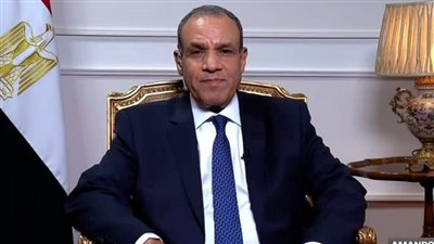 وزير الخارجية: مصر تتحرك بقوة للبدء فورًا في المرحلة الثانية للسلام بغزة