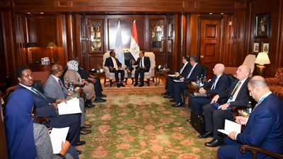 الخارجية يؤكد مجدداً التزام مصر بدعم جهود تعزيز الأمن والاستقرار في الصومال