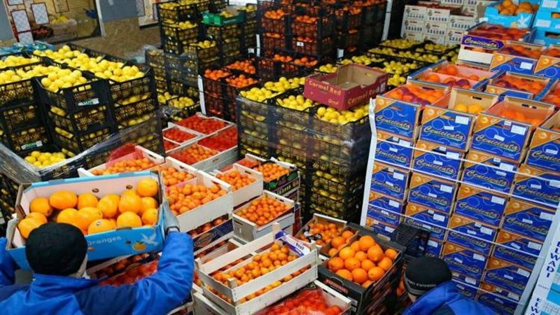 تصدير مواد غذائية