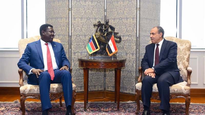 وزير الخارجية المصري