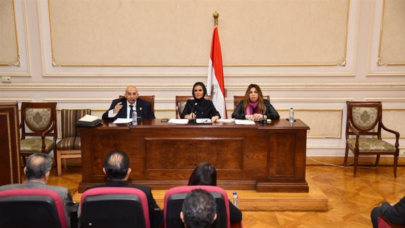 جانب من اجتماع اللجنة