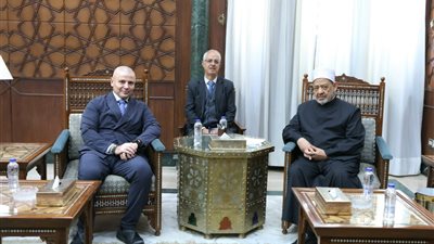  شيخ الأزهر: القضية الفلسطينية بلغت حدًّا خطيرًا  لا يقبل معه الحياد