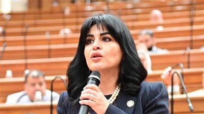 هند رشاد: تواجد النواب بدوائرهم وتقديم الخدمات العامة يعزز الثقة مع الشارع 
