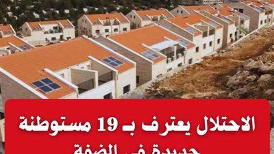 مرصد الأزهر يندد بـ