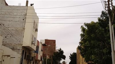 بسبب التقلبات الجوية.. رفع درجة الاستعداد بالوادي الجديد تحسبًا لسقوط أمطار