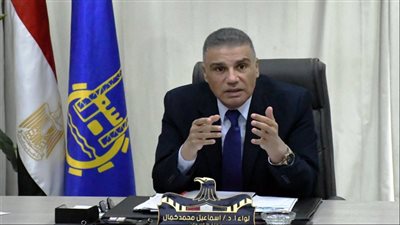 محافظ أسوان يوجه برفع كفاءة الحدائق والمتنزهات العامة استعدادًا للكريسماس