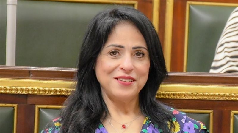 النائبة ميرال جلال