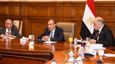 وزير الخارجية يجتمع مع أعضاء لجنة حقوق الإنسان والتضامن الاجتماعي بمجلس الشيوخ