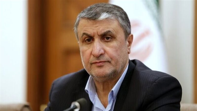 د رئيس منظمة الطاقة