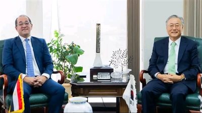 وزير المالية: ندعو الشركات الكورية لزيادة وتنويع أنشطتها الاستثمارية في مصر
